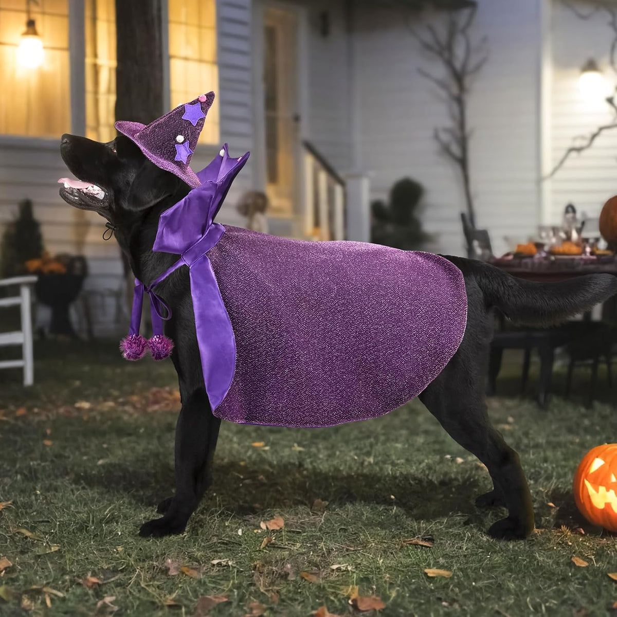 Enchant Your Pet This Halloween with Our Adorable Purple Witch Cape and Hat Set - Perfect for Large Dogs!