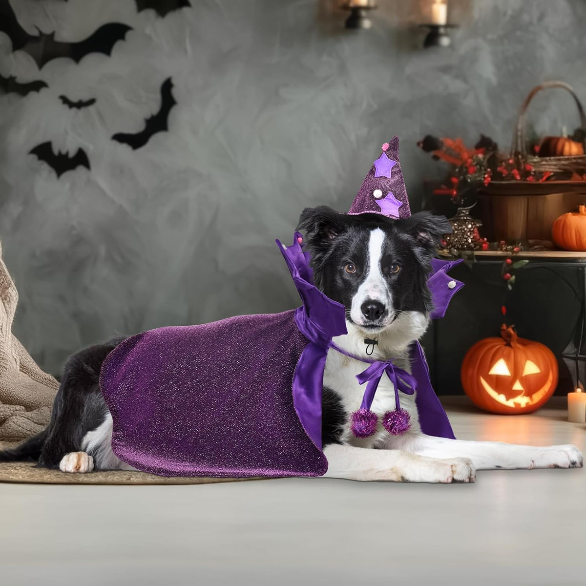 Enchant Your Pet This Halloween with Our Adorable Purple Witch Cape and Hat Set - Perfect for Large Dogs!